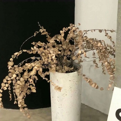 尖山FurryQQ群介绍